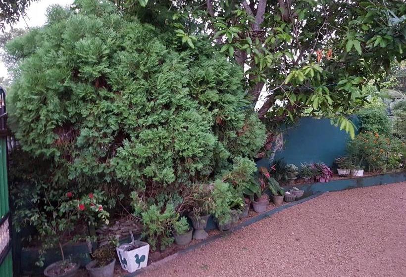 ペンション Lotus Villa