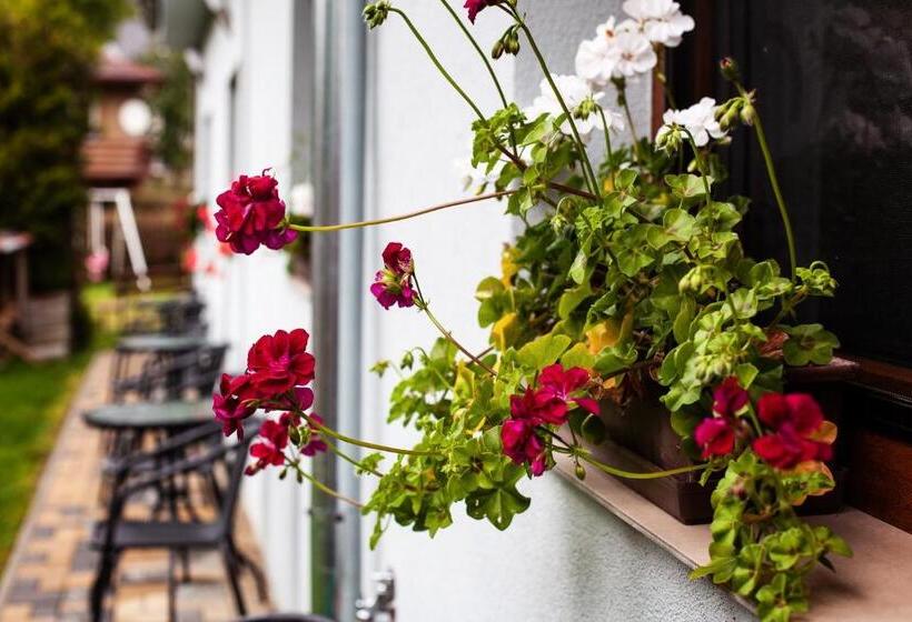 پانسیون Penzion Dolíček