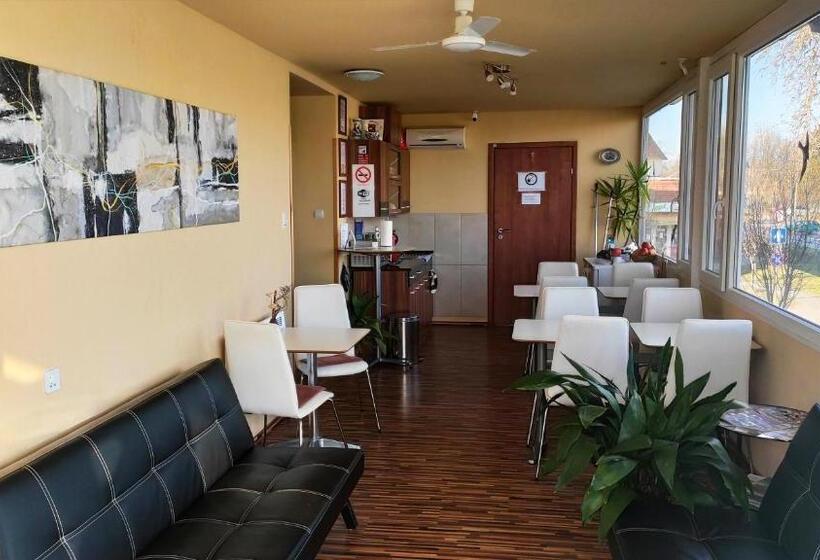 פנסיון Silver Park Vendégház