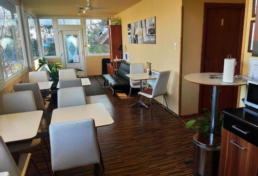 פנסיון Silver Park Vendégház