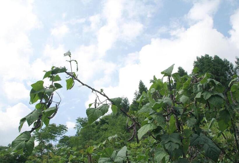 בית מלון כפרי Enshi Grand Canyon Chunlun Farmstay