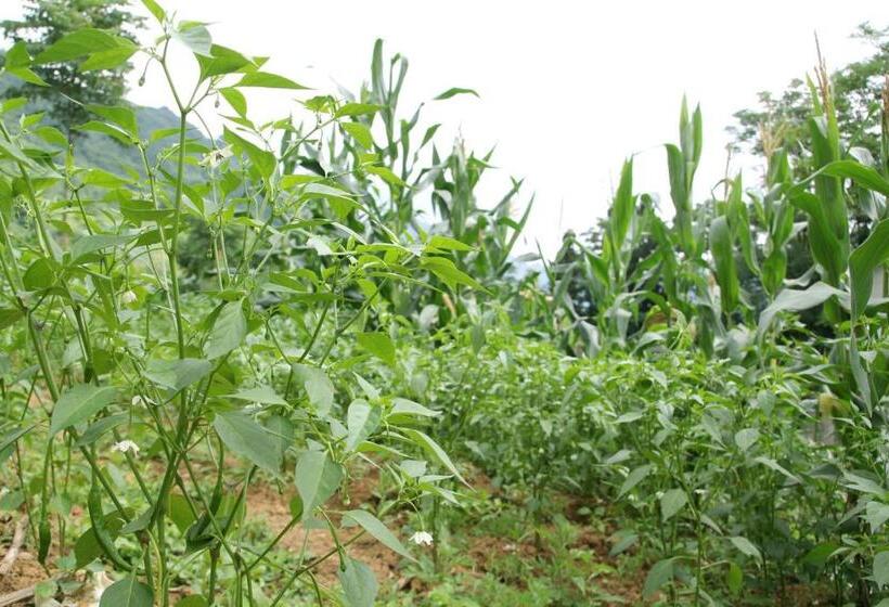 בית מלון כפרי Enshi Grand Canyon Chunlun Farmstay