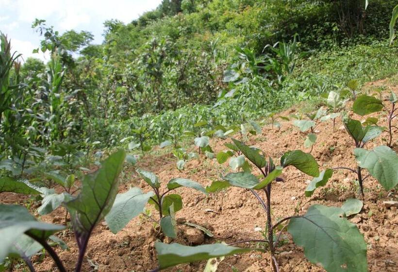 בית מלון כפרי Enshi Grand Canyon Chunlun Farmstay