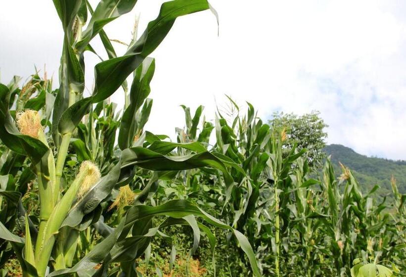 בית מלון כפרי Enshi Grand Canyon Chunlun Farmstay