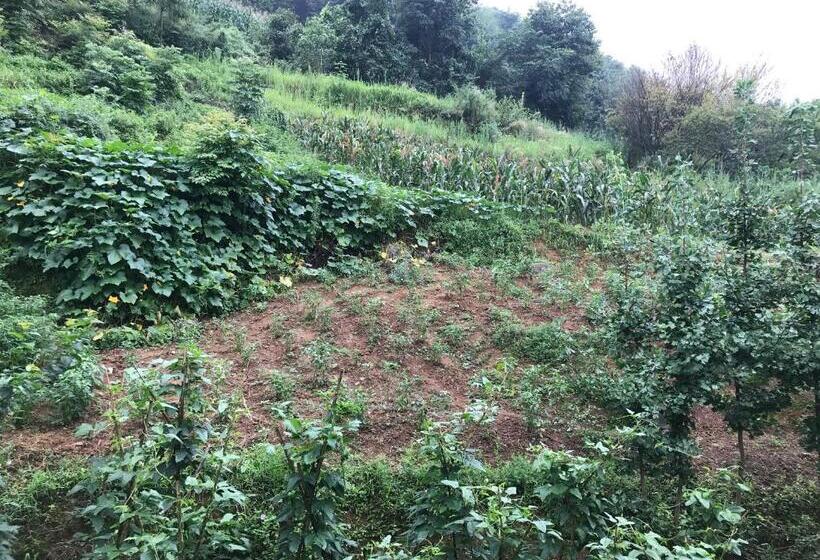 בית מלון כפרי Enshi Grand Canyon Chunlun Farmstay