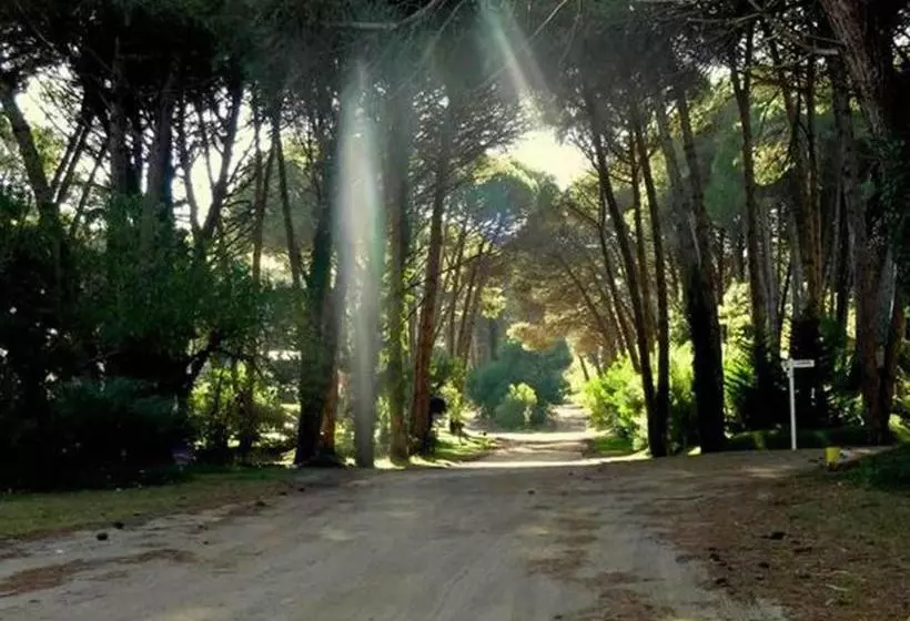 Las Cuatro Estaciones