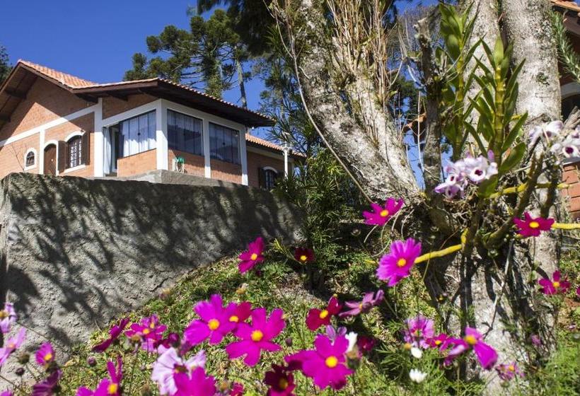 بنسيون Emy Pousada