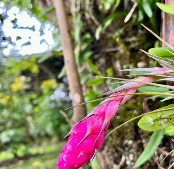 بنسيون Emy Pousada