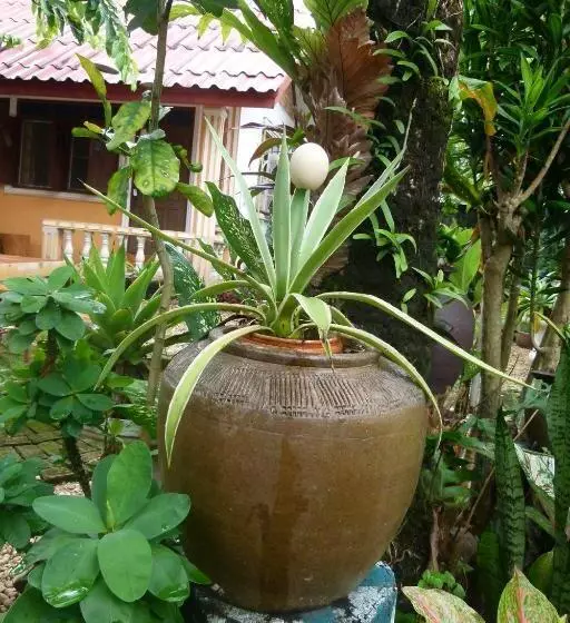 پانسیون Khamphouy Guesthouse