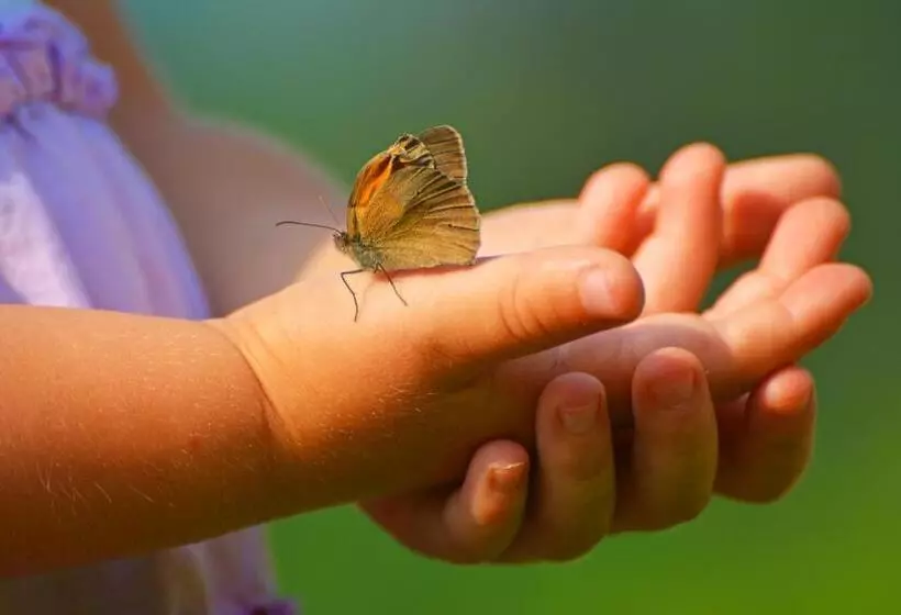 Sonnmatt Bergpension & Gesundheitszentrum