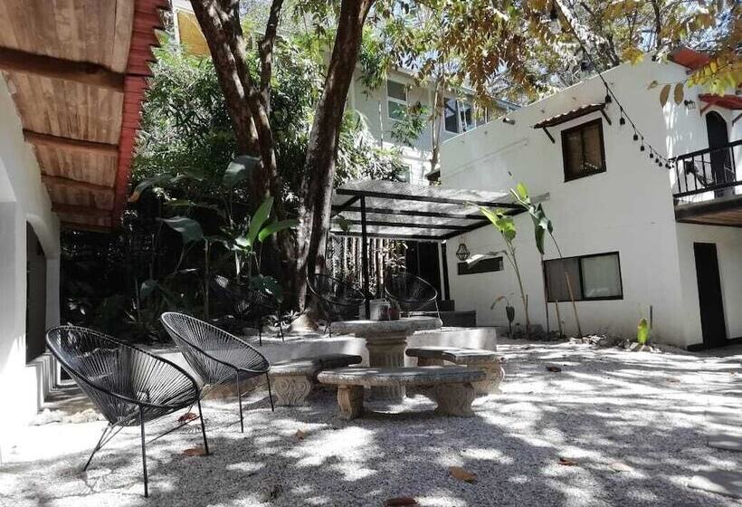 بنسيون Believe Surf & Yoga Lodge Santa Teresa