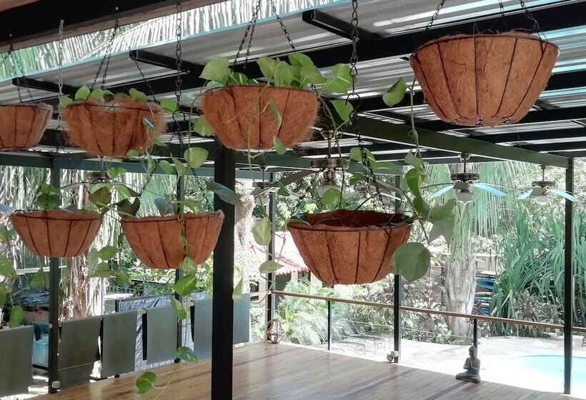 بنسيون Believe Surf & Yoga Lodge Santa Teresa