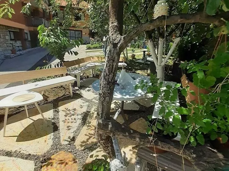 پانسیون Guest House Pasha