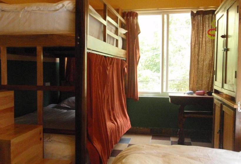 بنسيون Lost Garden Guest House