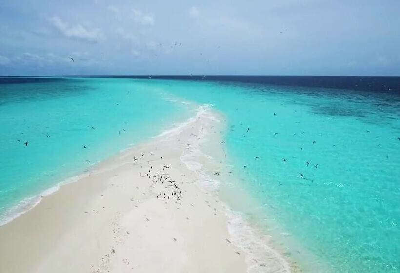 پانسیون New Moon Village