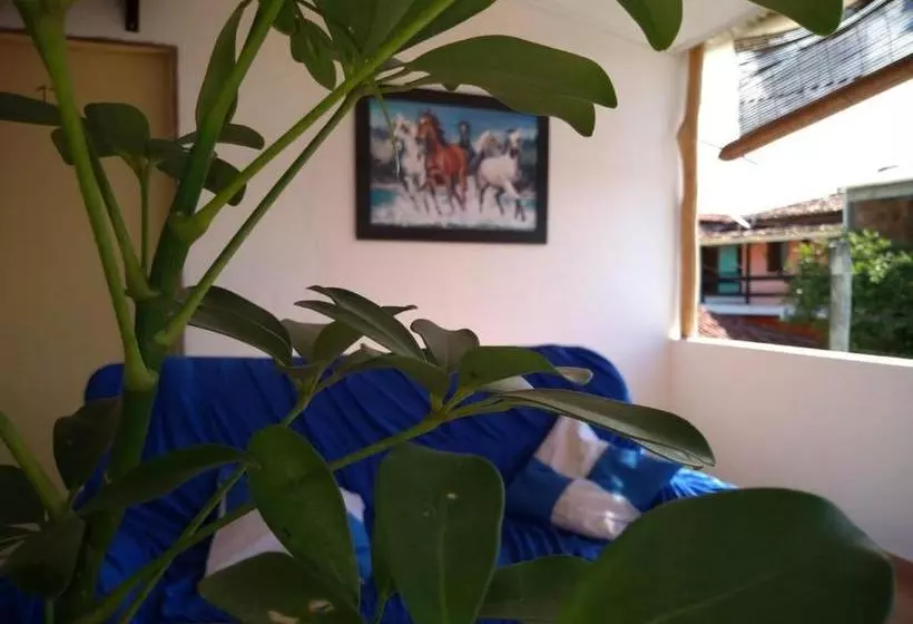 ペンション Pousada Aritibe