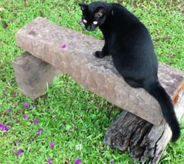 Hospedaria Abbud & Fernandez