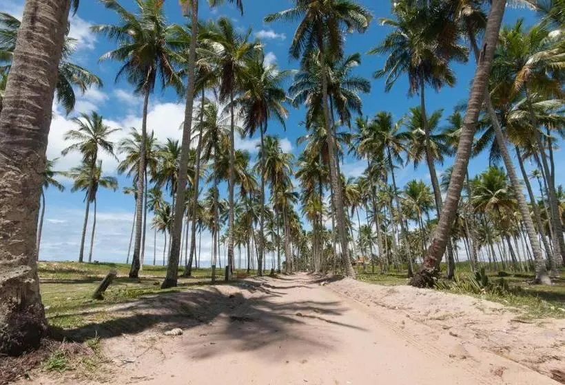 پانسیون Pousada Ponta De Areia