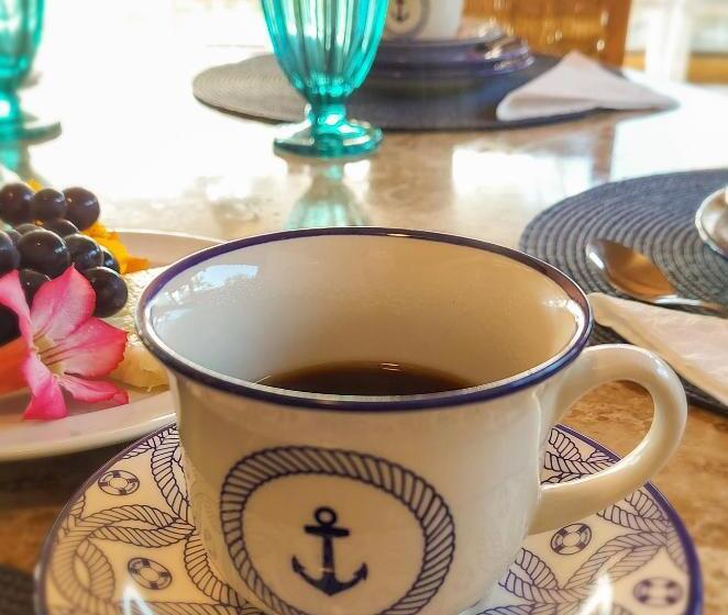 بنسيون Pousada Ponta De Areia