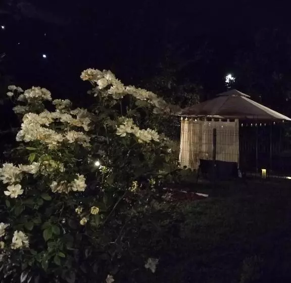 پانسیون Guest House Dimitrije