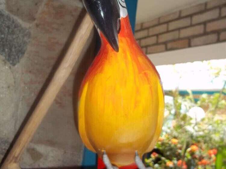 Пансион Pousada Riacho Doce