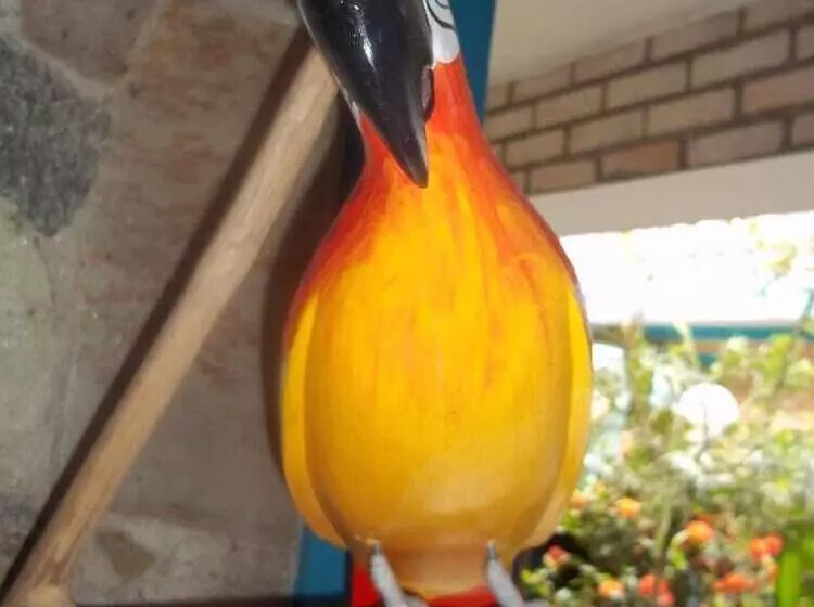 Majatalo Pousada Riacho Doce