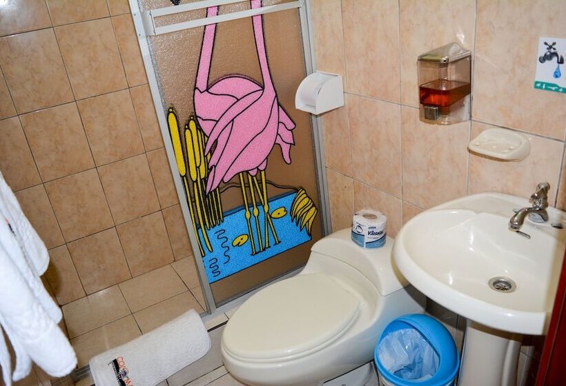 Отель Coloma Galapagos