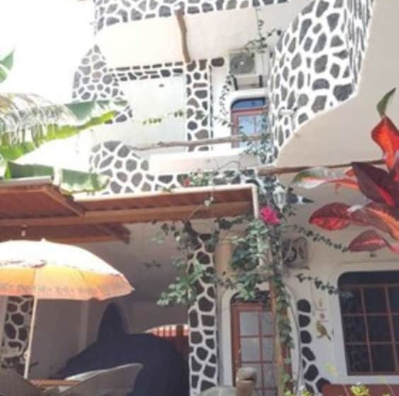 Отель Coloma Galapagos