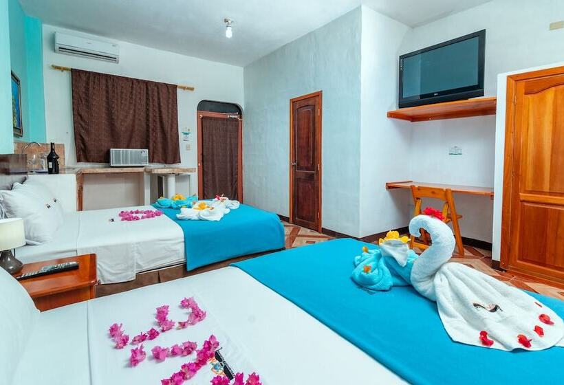 Отель Coloma Galapagos