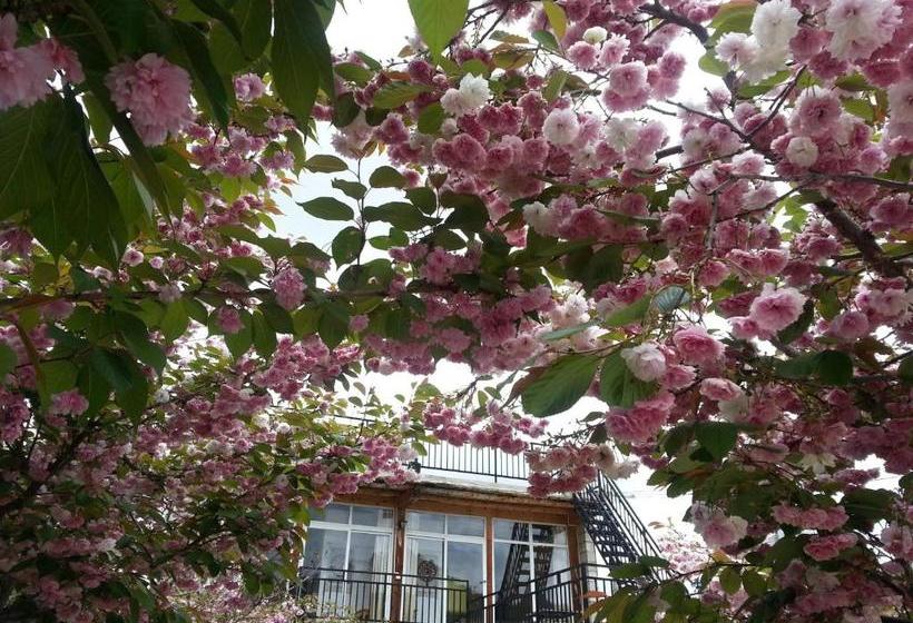 Pension Kevin's Trekker Inn