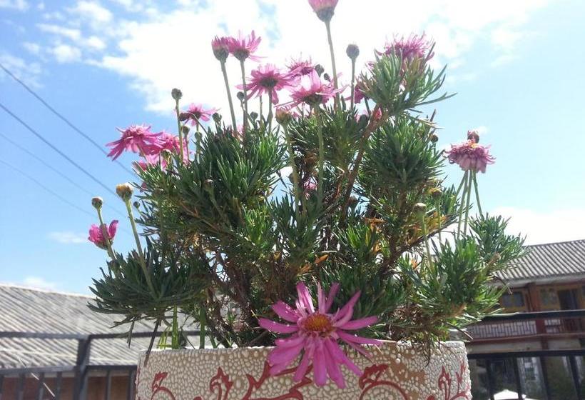 Pension Kevin's Trekker Inn