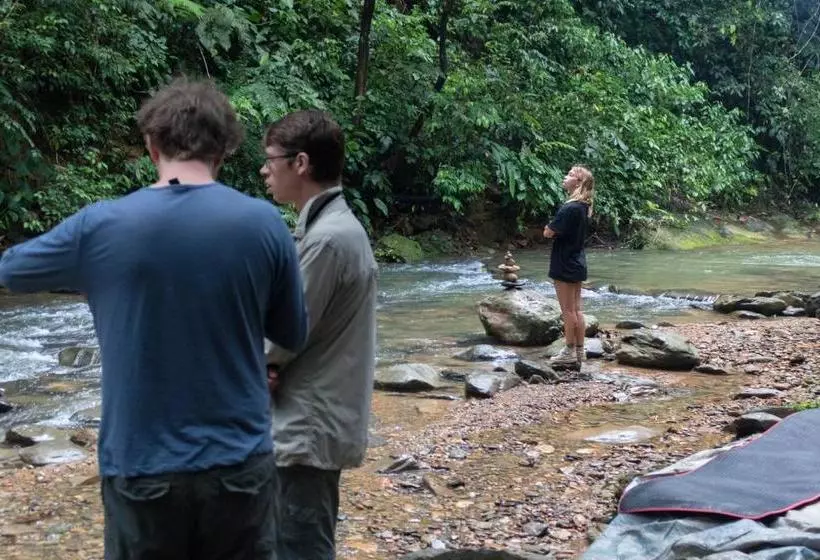 Majatalo Rain Forest Guest House