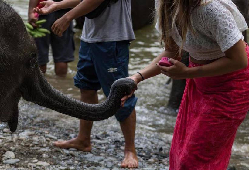 بنسيون Rain Forest Guest House