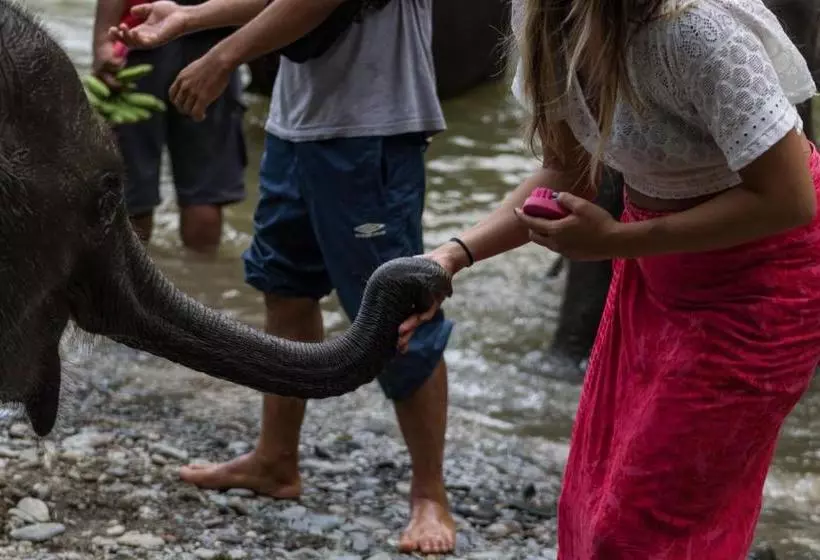 Majatalo Rain Forest Guest House
