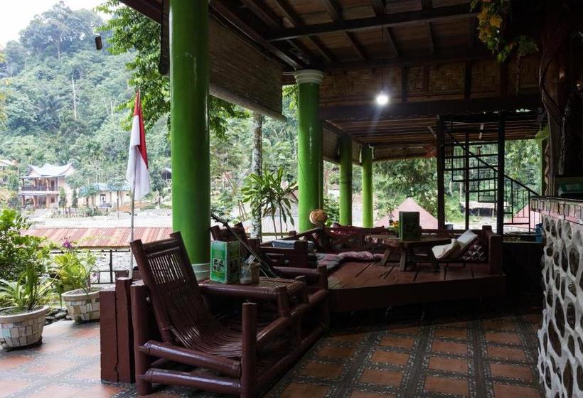 بنسيون Rain Forest Guest House