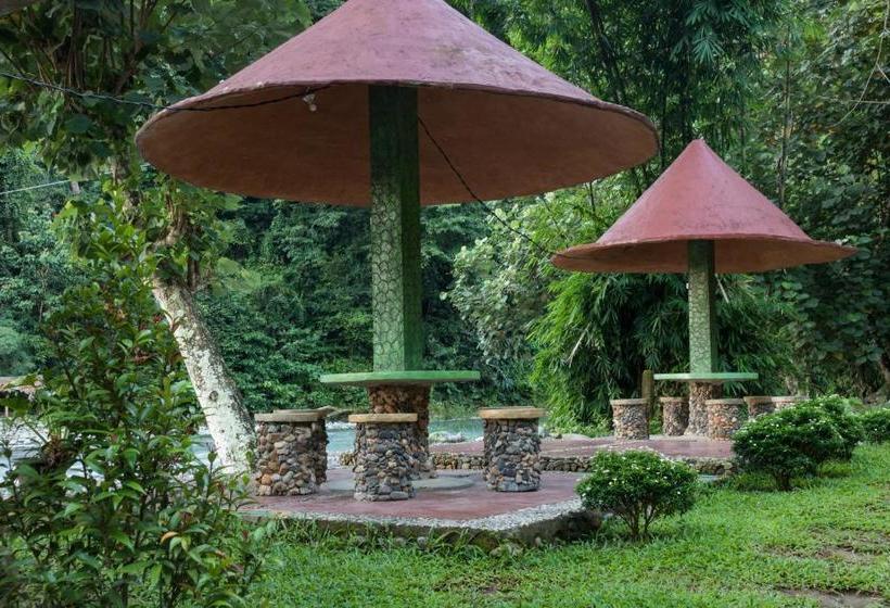 بنسيون Rain Forest Guest House