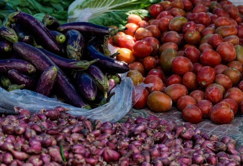 بنسيون Rain Forest Guest House