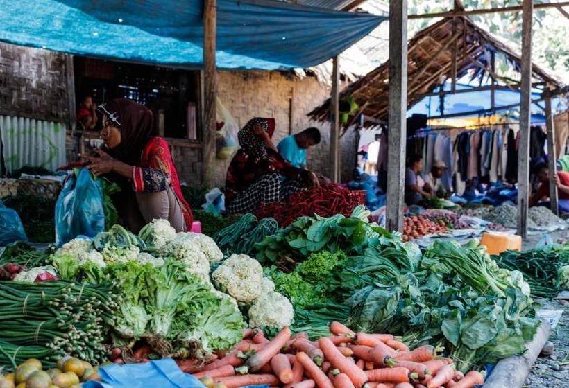 بنسيون Rain Forest Guest House