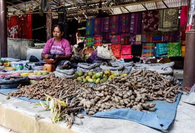 Majatalo Rain Forest Guest House