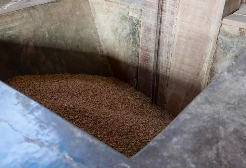 Majatalo Rain Forest Guest House