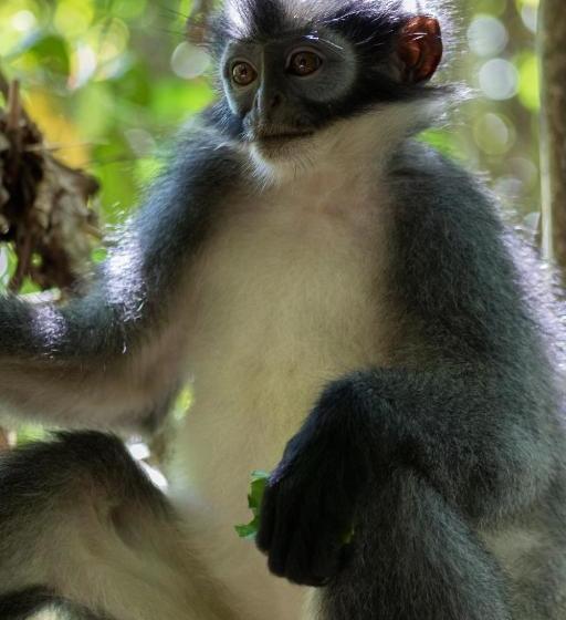 بنسيون Rain Forest Guest House