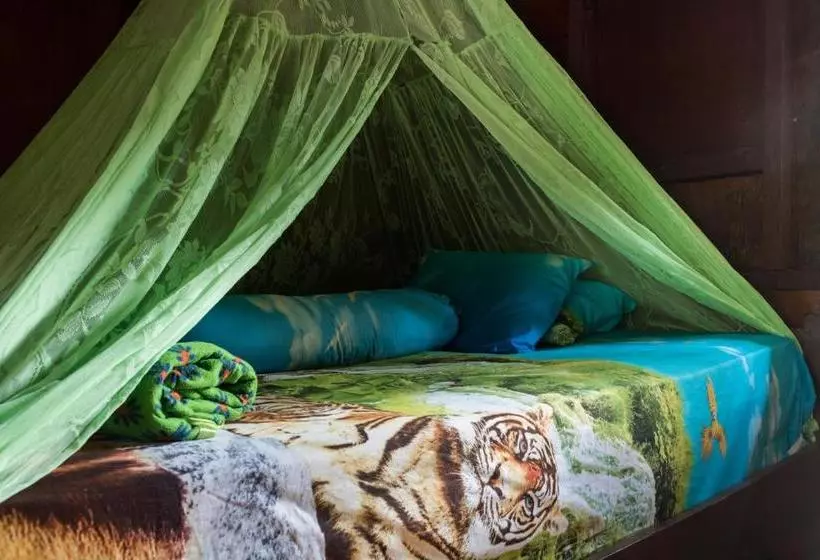 Majatalo Rain Forest Guest House