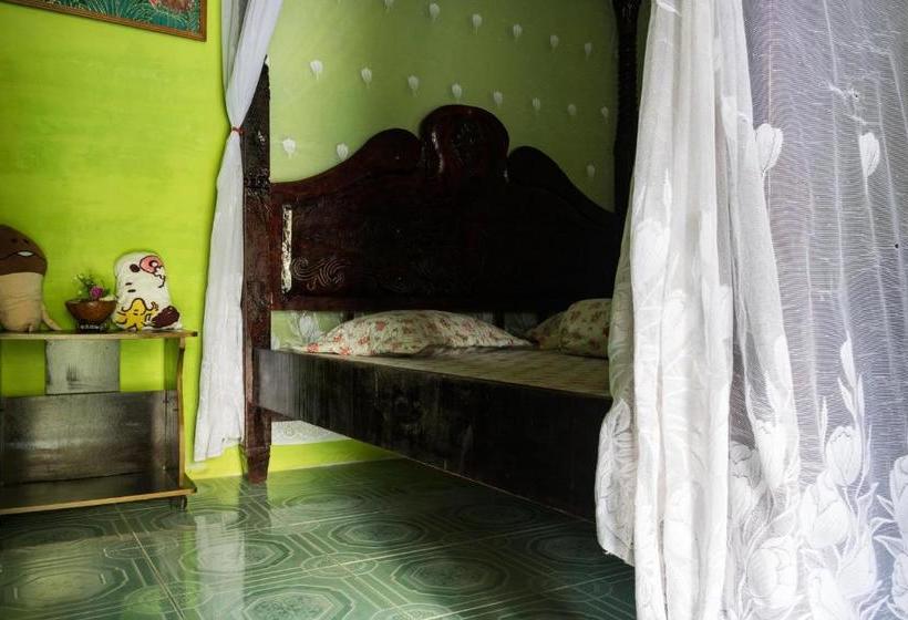 بنسيون Rain Forest Guest House