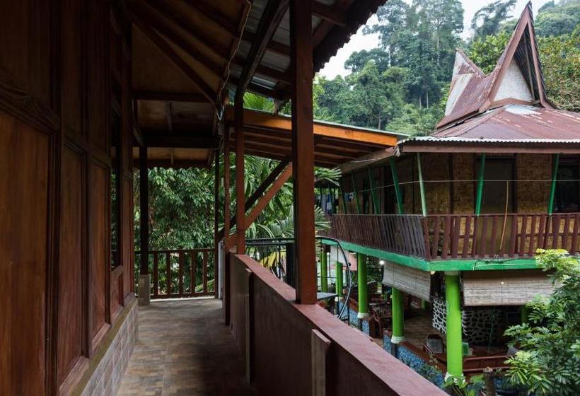 بنسيون Rain Forest Guest House