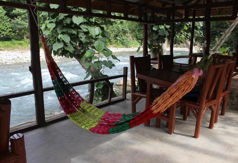 بنسيون Rain Forest Guest House