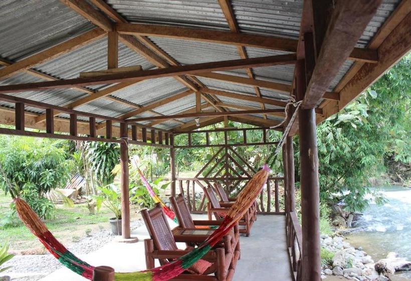 بنسيون Rain Forest Guest House