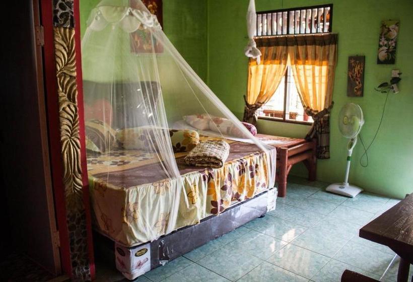 بنسيون Rain Forest Guest House