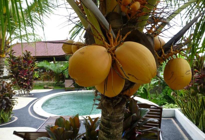 펜션 West Bali Villas Umasari Resort