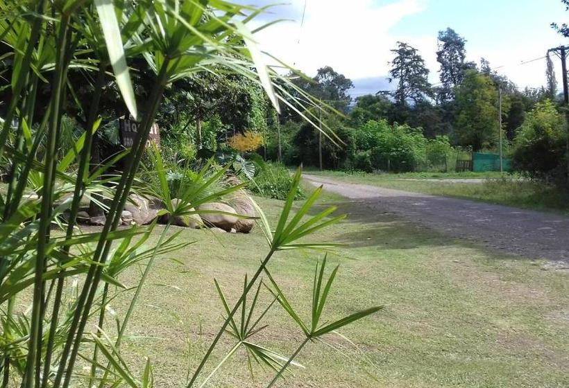 Общежитие Hostal San Pablo