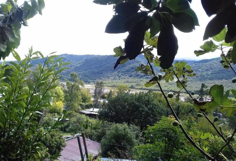 Общежитие Hostal San Pablo